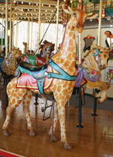 Giraffe Carousel