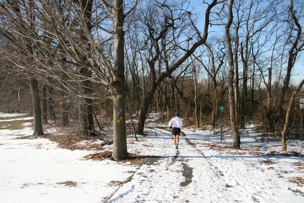 image of a jogger on a snow-covered multi-use trail in the Staten Island Greenbelt