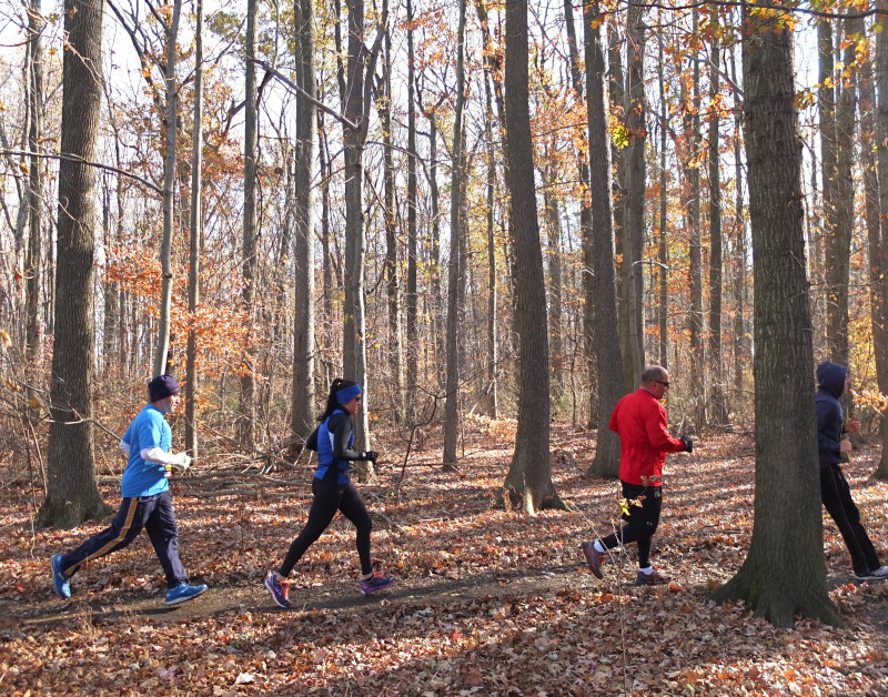 Runners on a woodland trail in the Staten Island Greenbelt